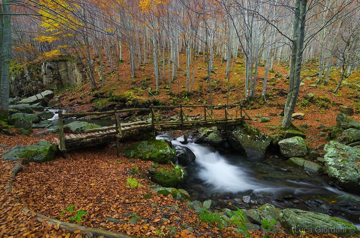Passaggio di stagione