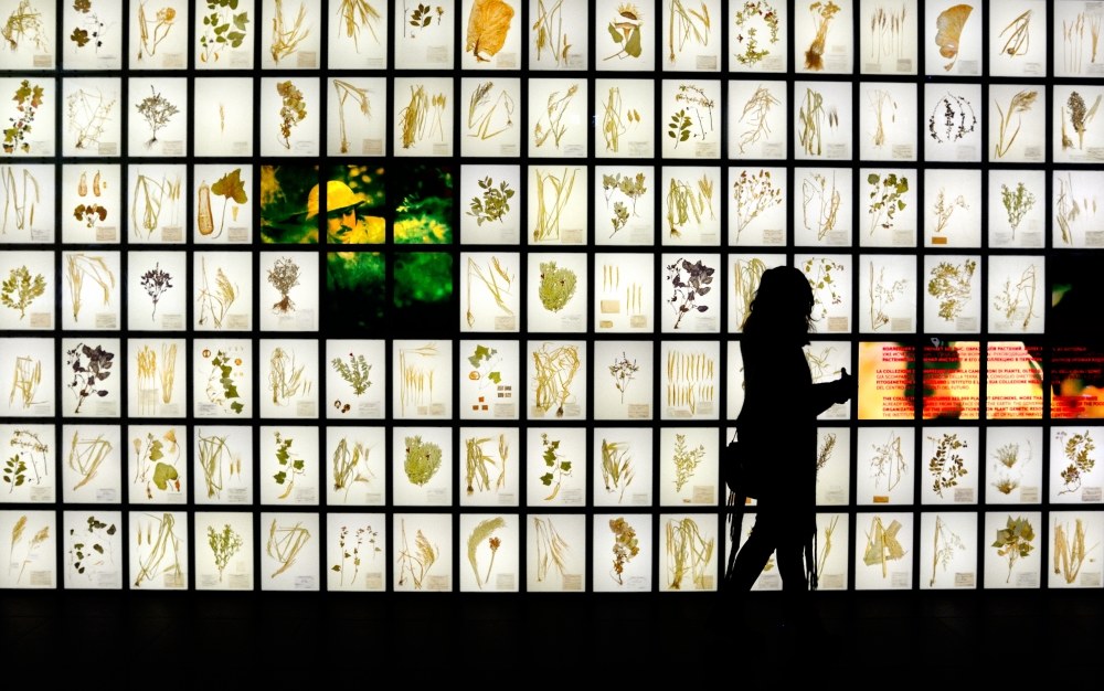 Ombre interessate...tra righe e colonne