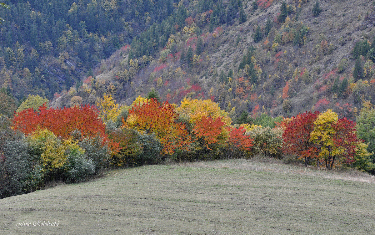 Ascoltando il silenzio....