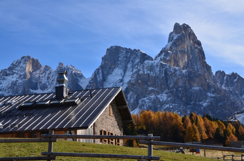 Malga Rolle con vista Pale