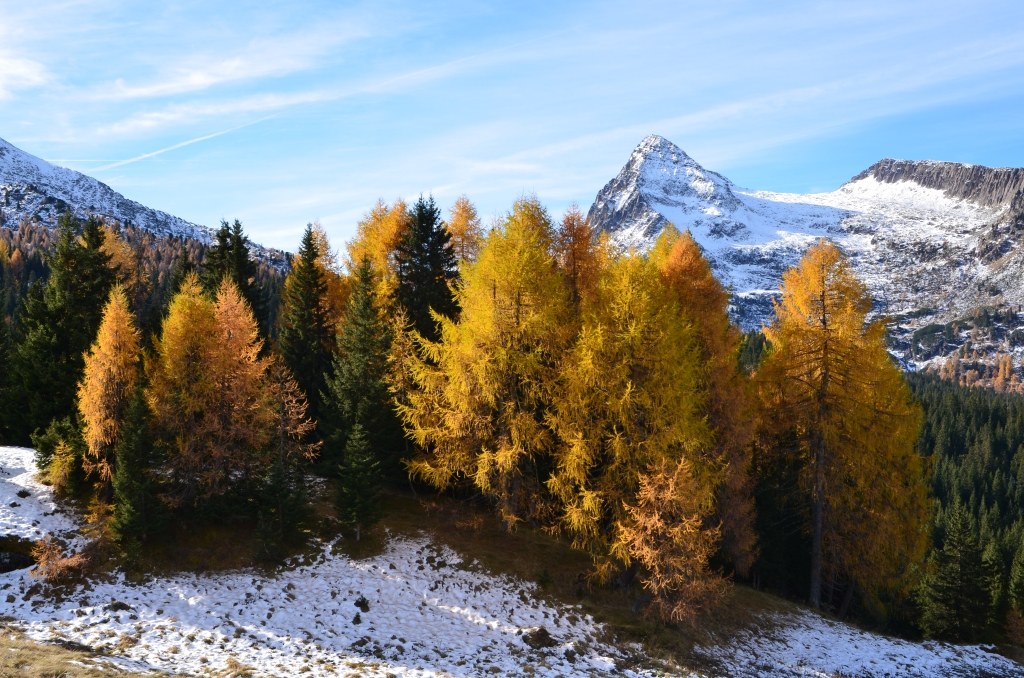 Verso i laghi di Colbricon