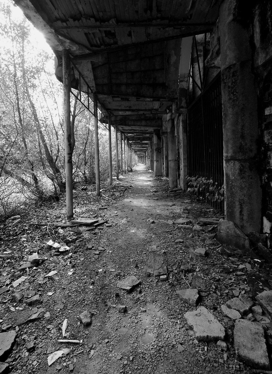 Ombra e luce sulle rovine