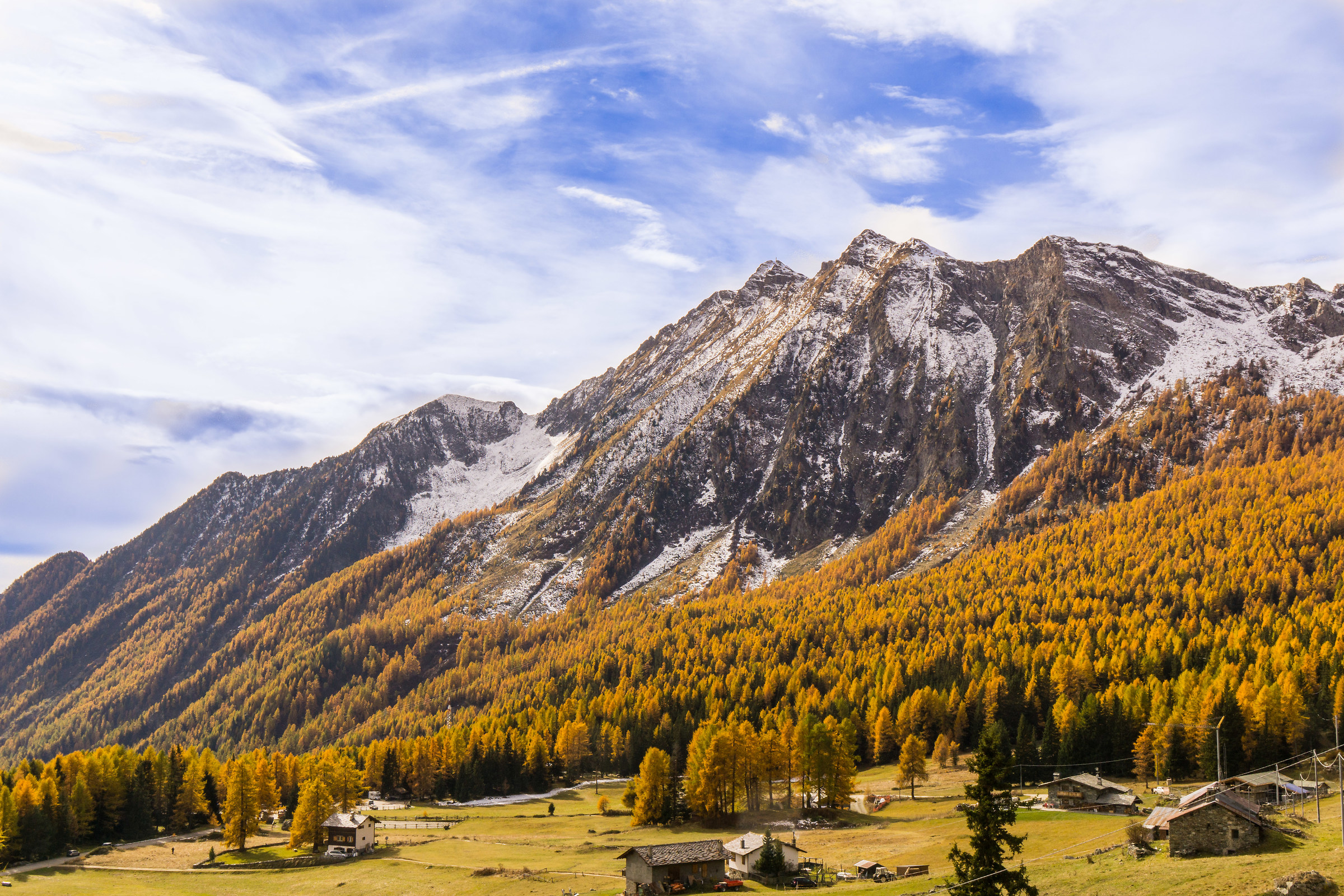 Esplosione d'autunno