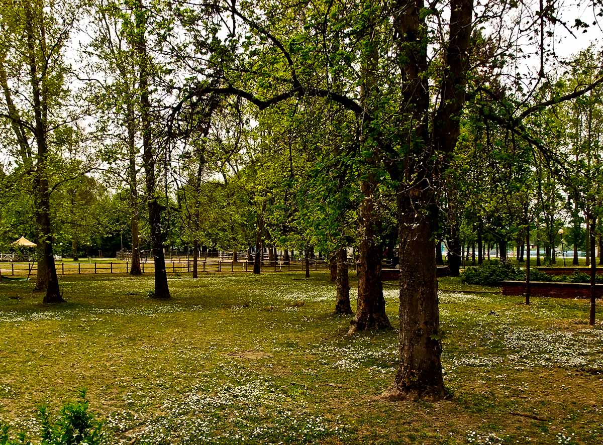 parco urbano   Idroscalo di Milano