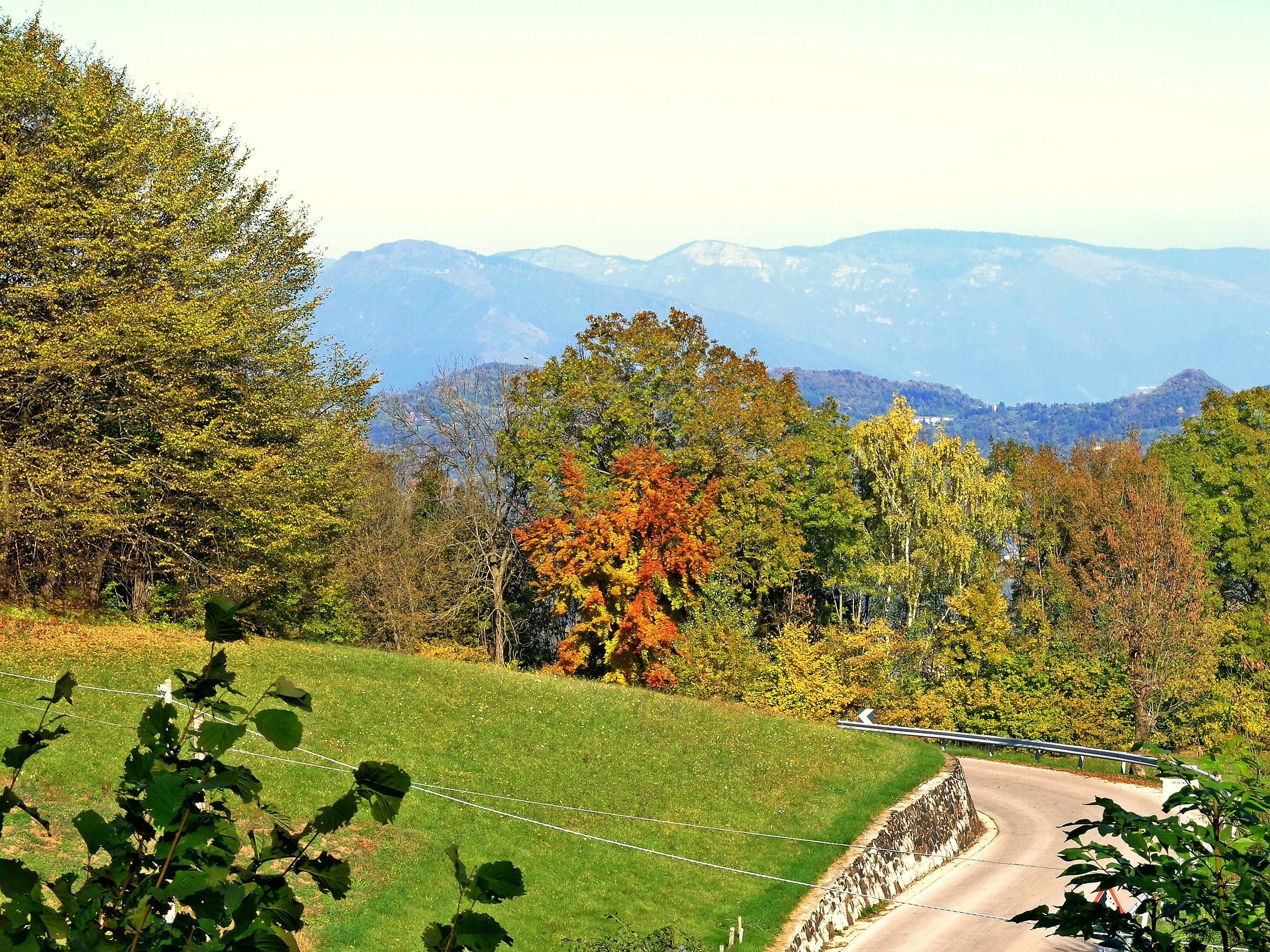media valle dell'Agno