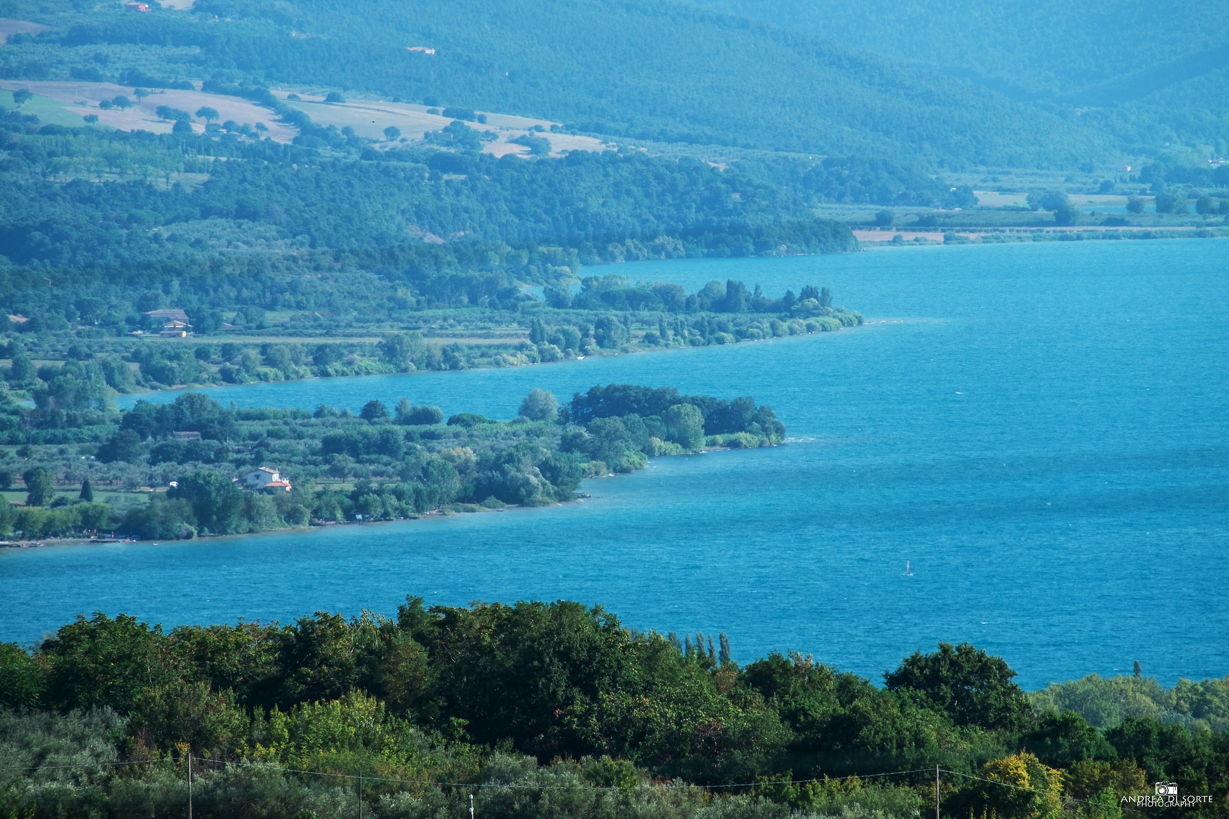 the last swim of summer