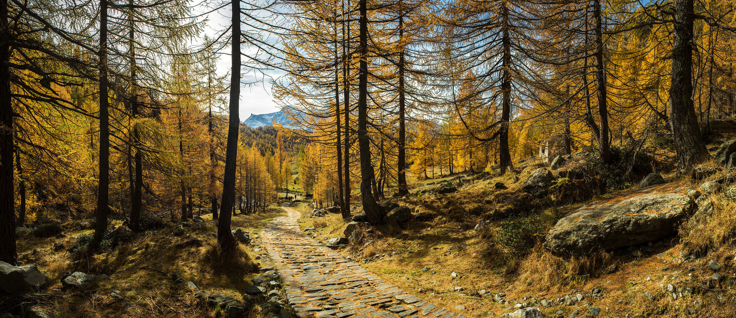 Sentiero Crampiolo - Codelago