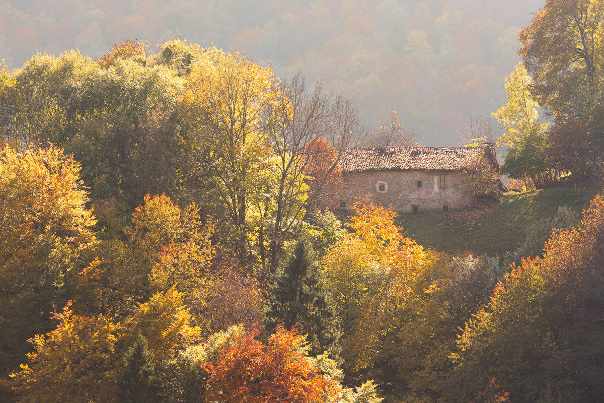 Glimpses of the autumn in Val Rice ...