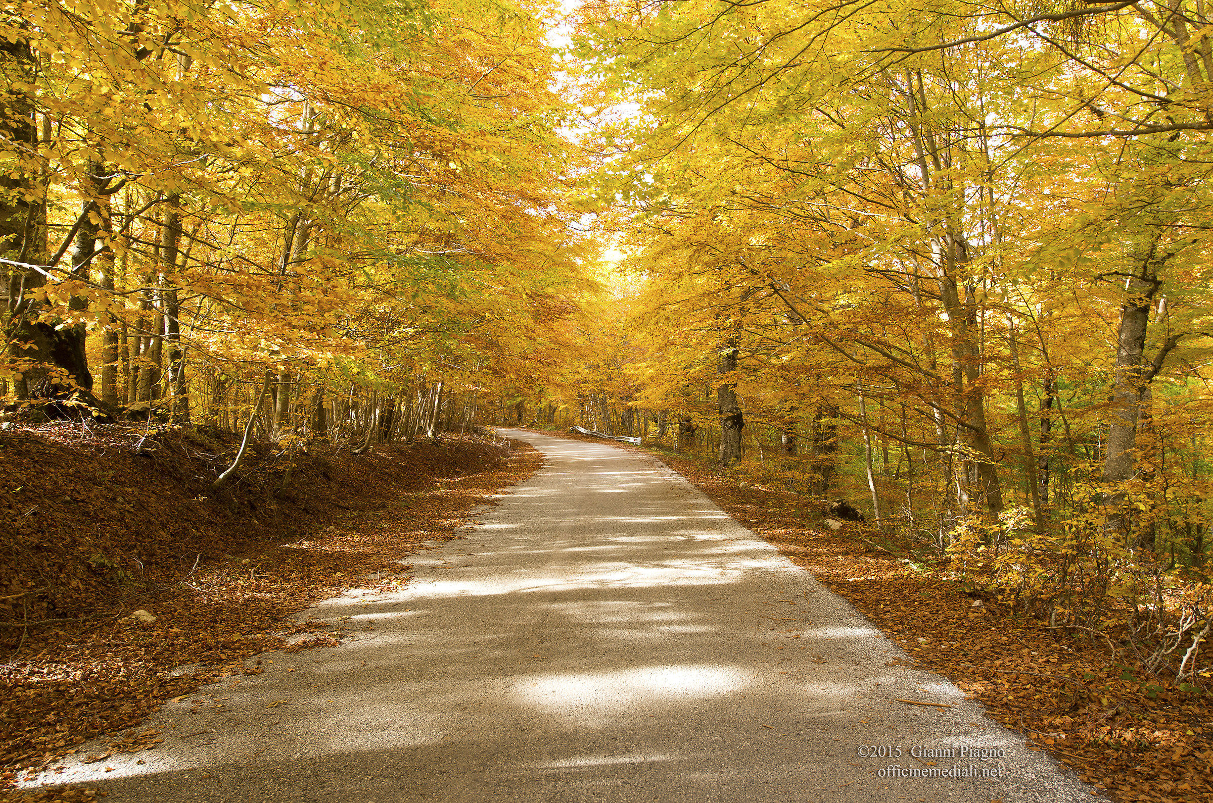 At La Piana of Forms