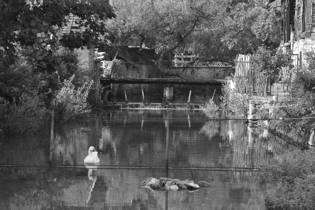 Glimpse of the creek