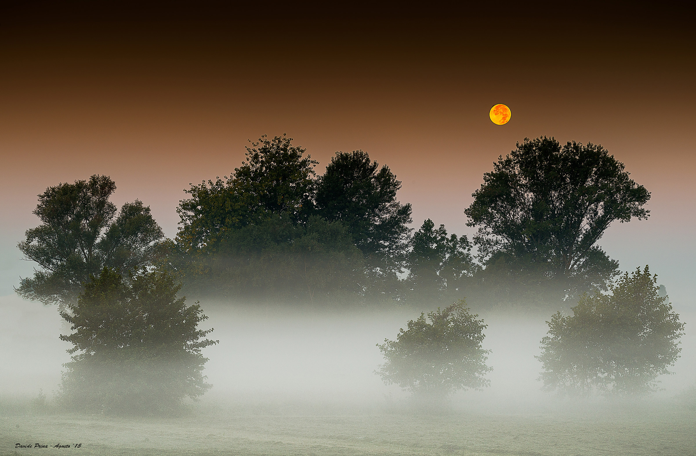 Mists of early 'August