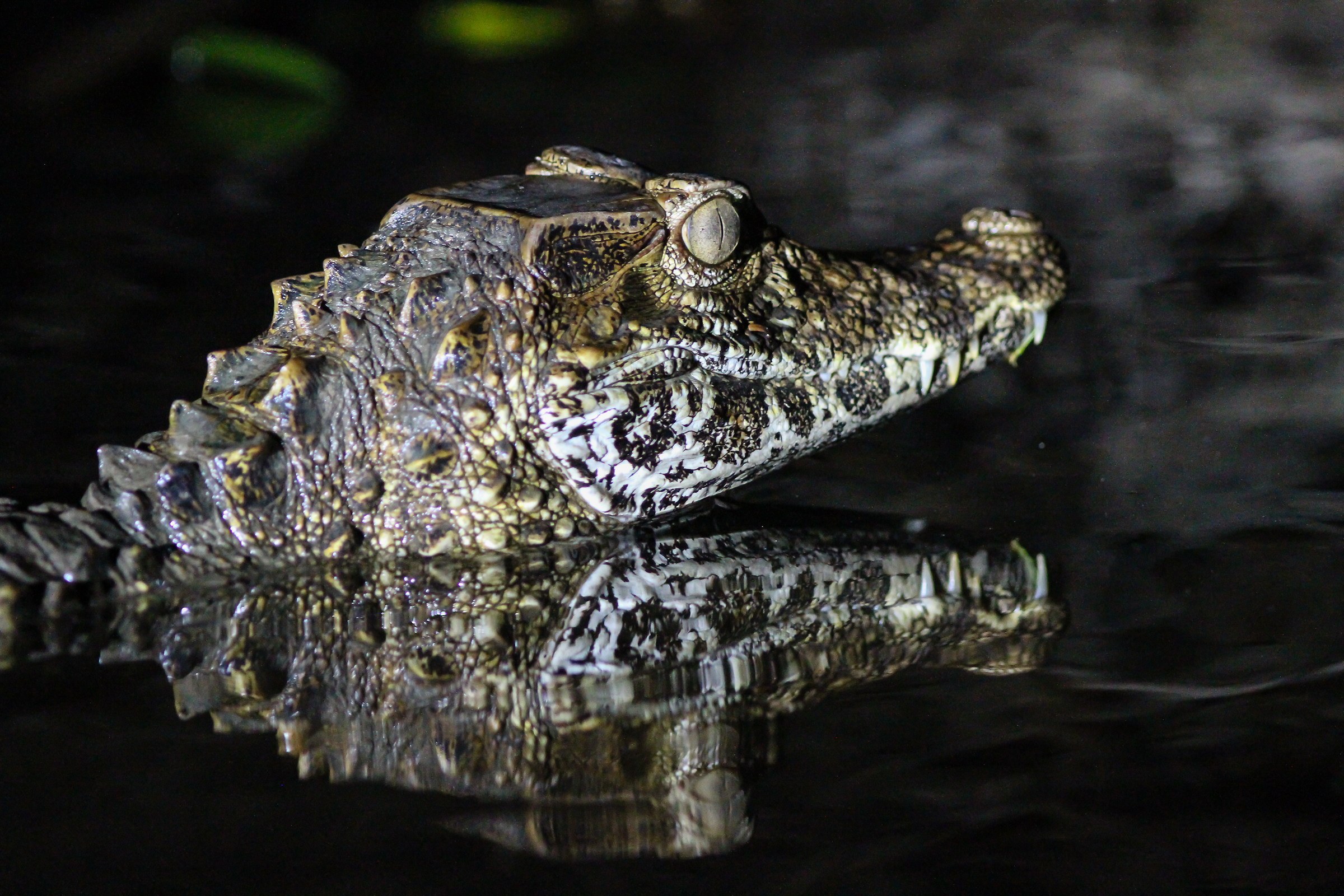 I also will keep an eye on