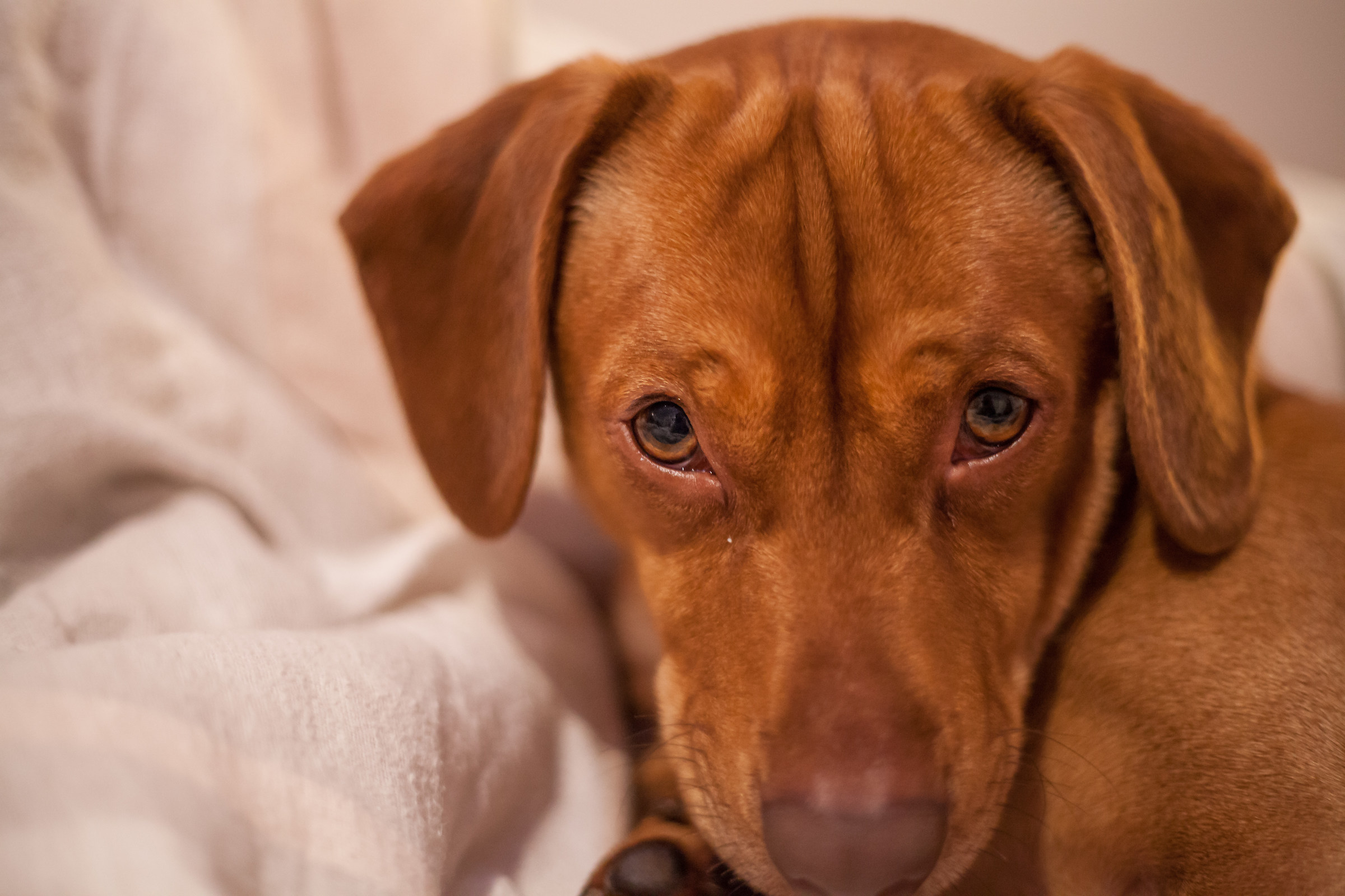 but the stop is with camera ???