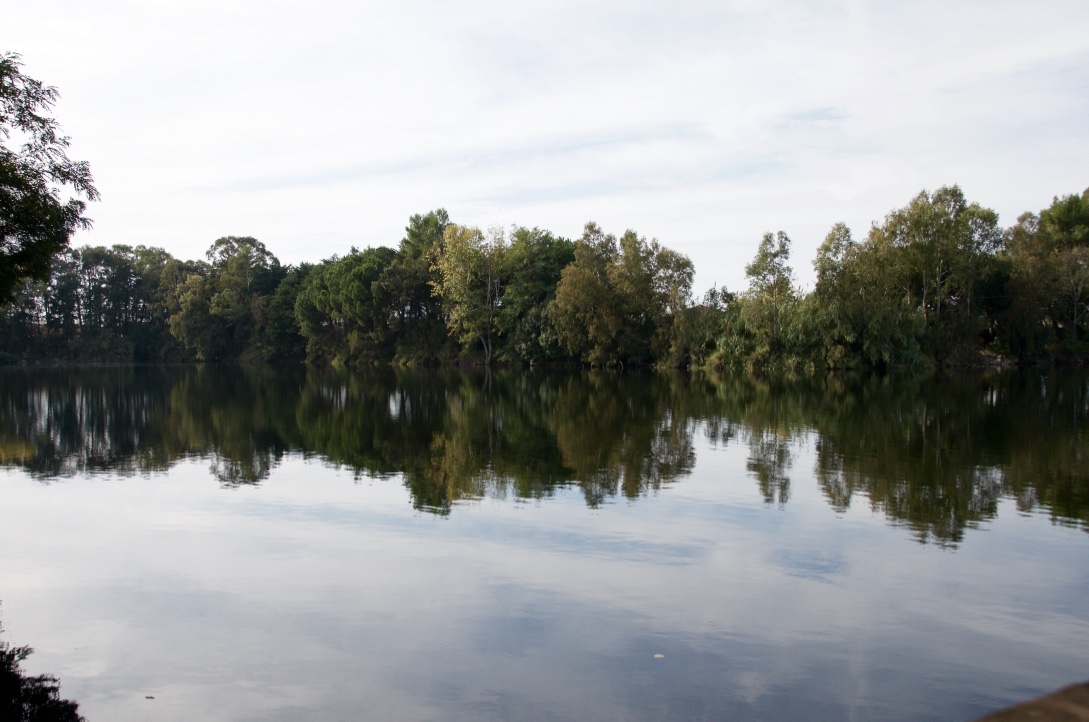 Ecoparco Mediterranean