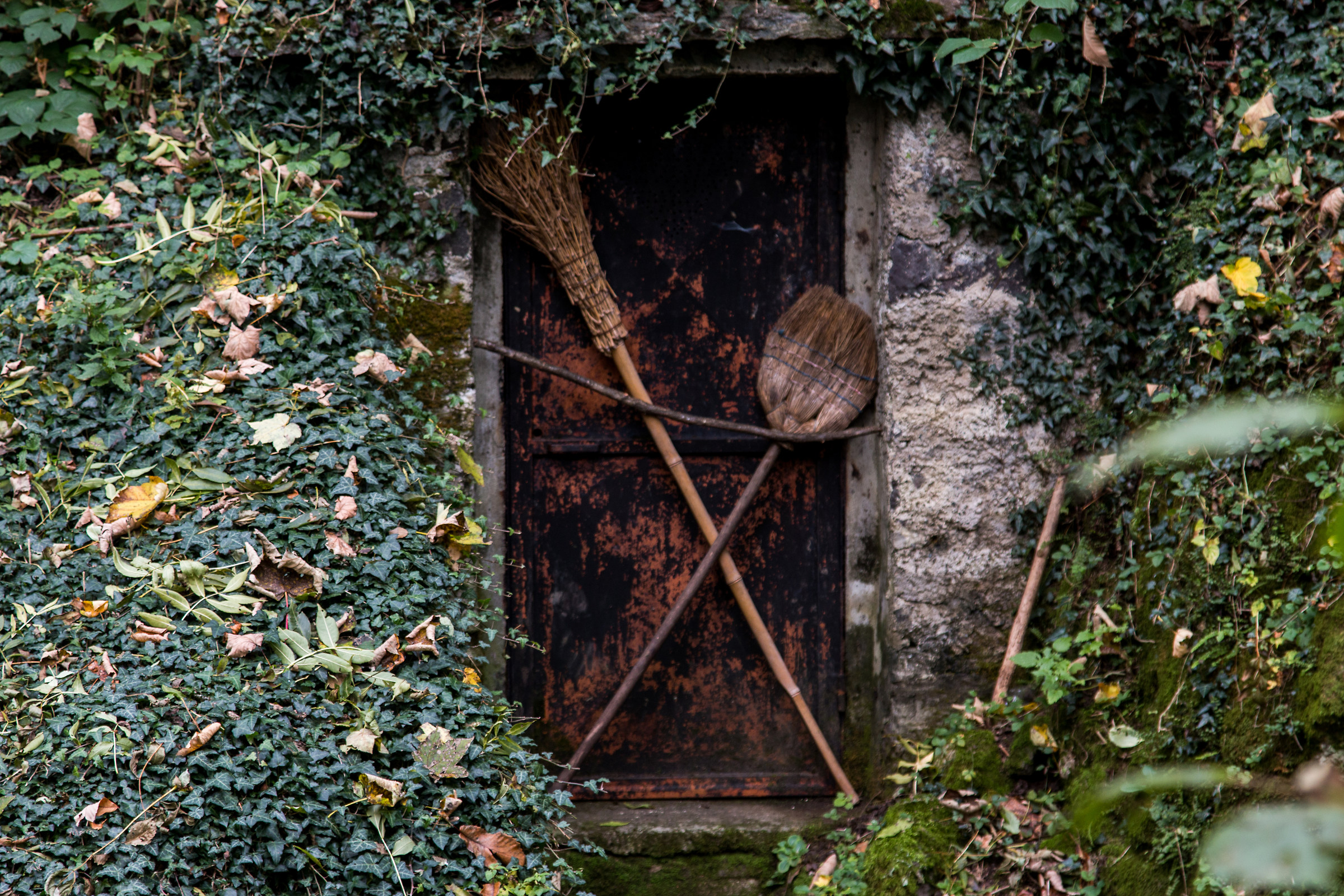 the door of the witch