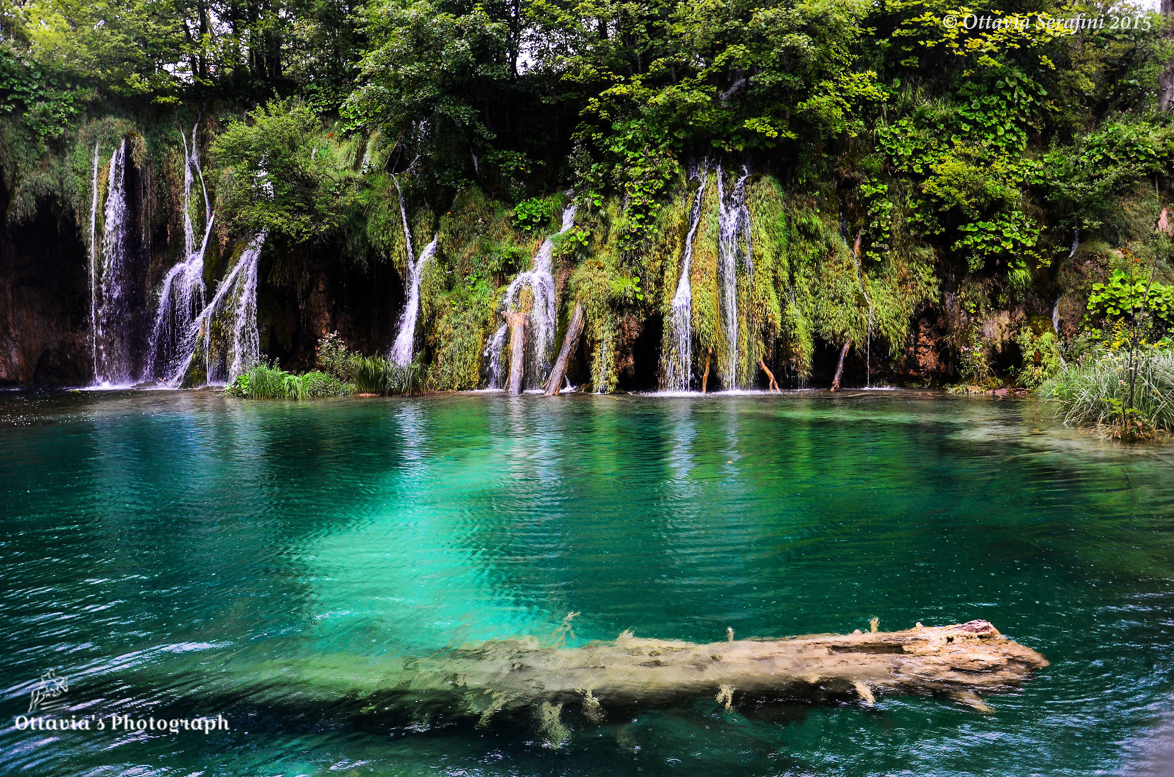 The colors of nature.