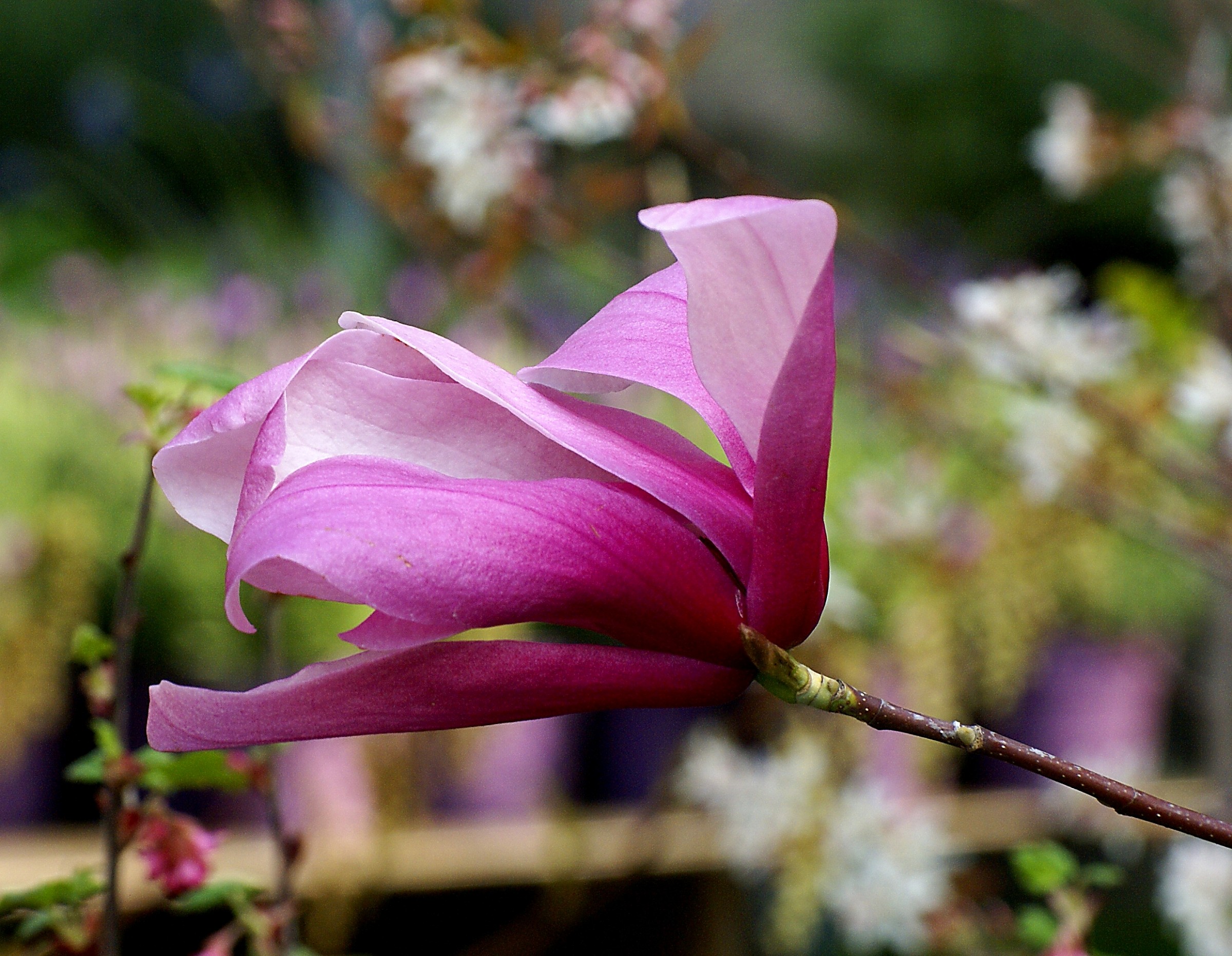 An outstretched hand