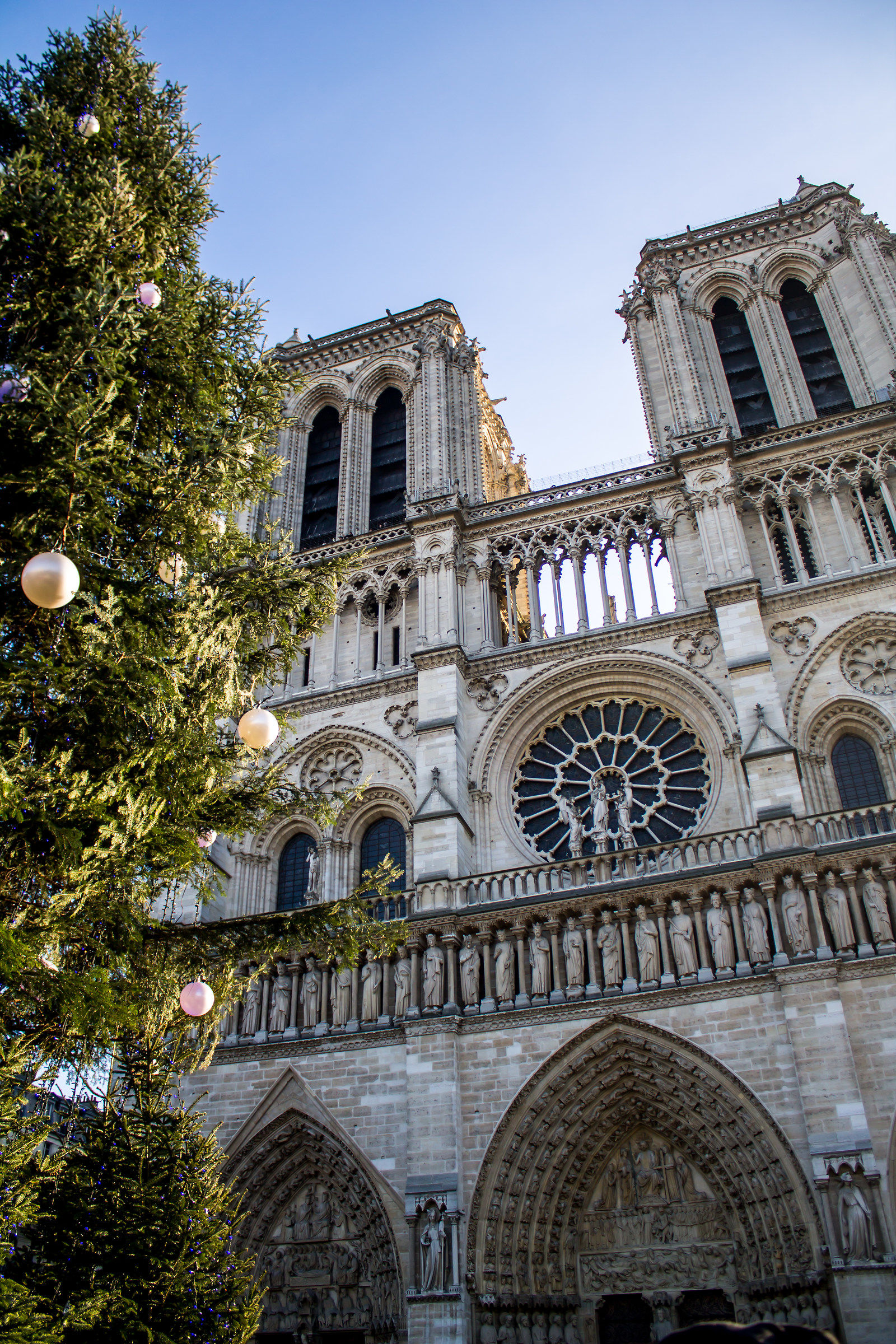 notre dame