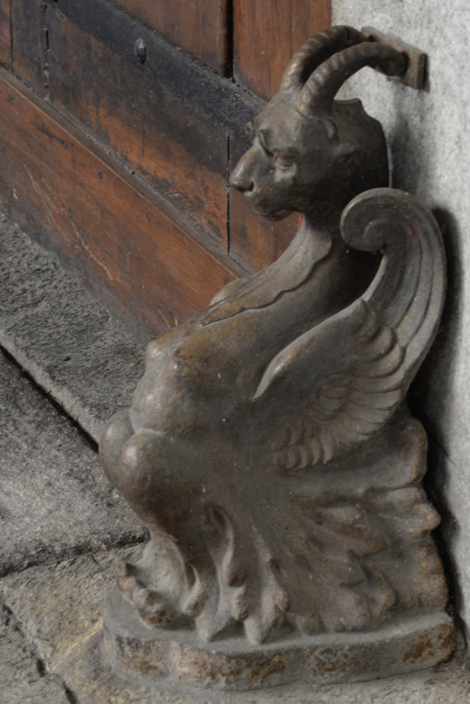 The Goat inside the Palazzo Scaglia