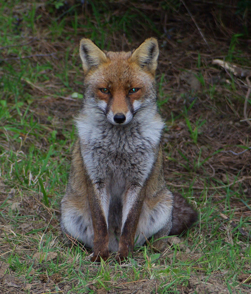 In attesa dello scatto