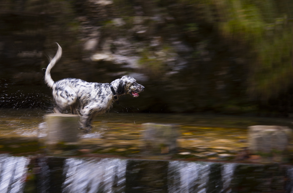 Panning