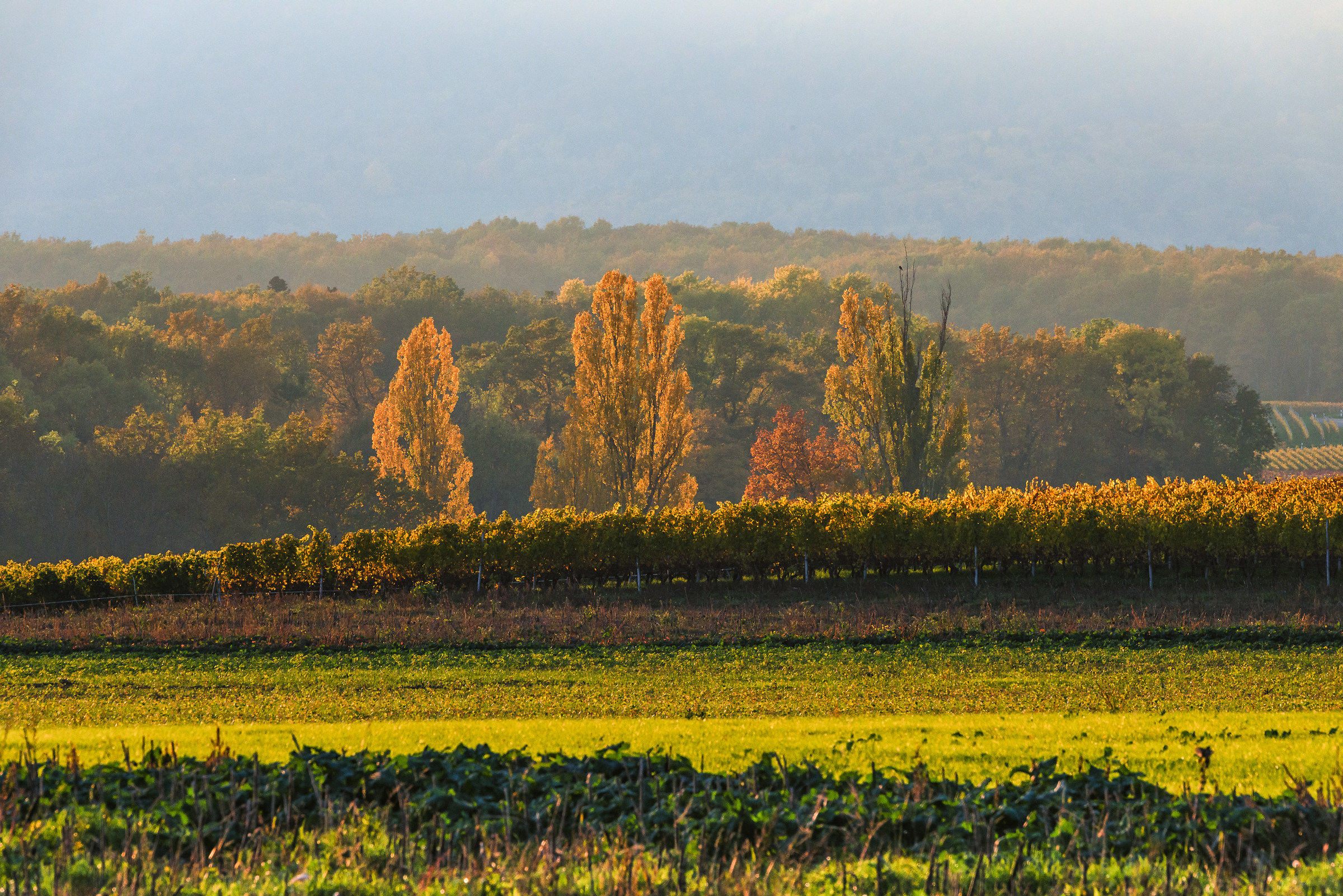 Una giornata in autunno