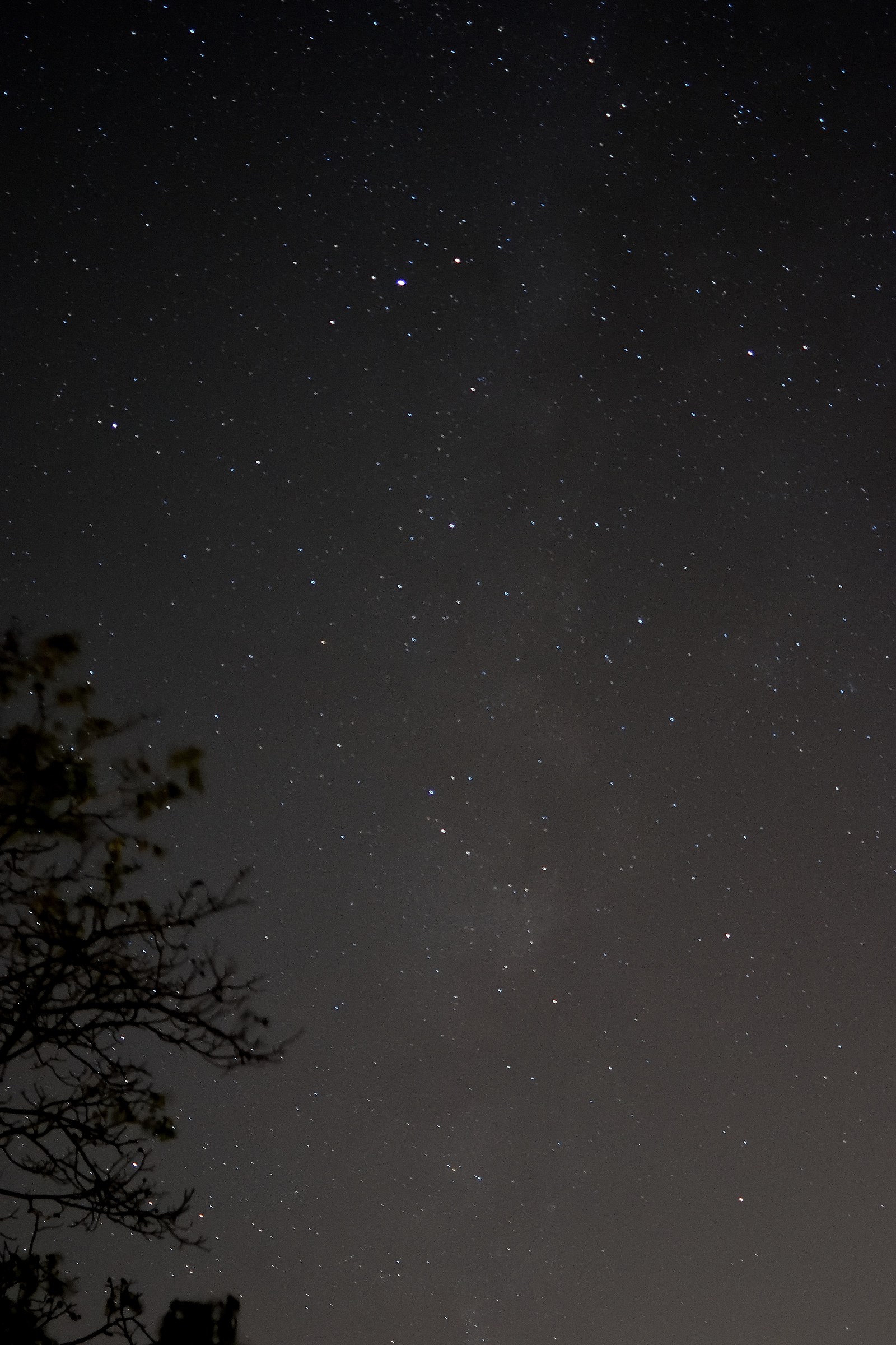 My first Milky Way ...