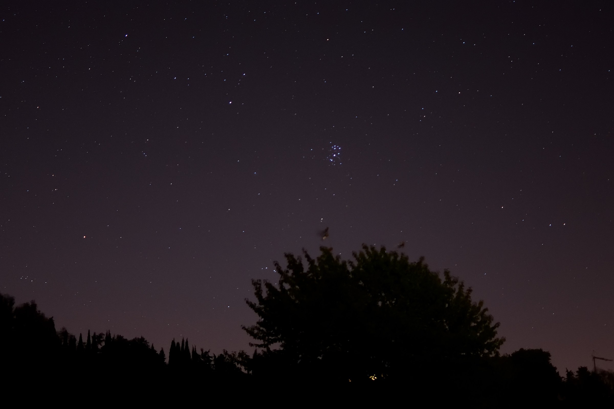 The Pleiades us company