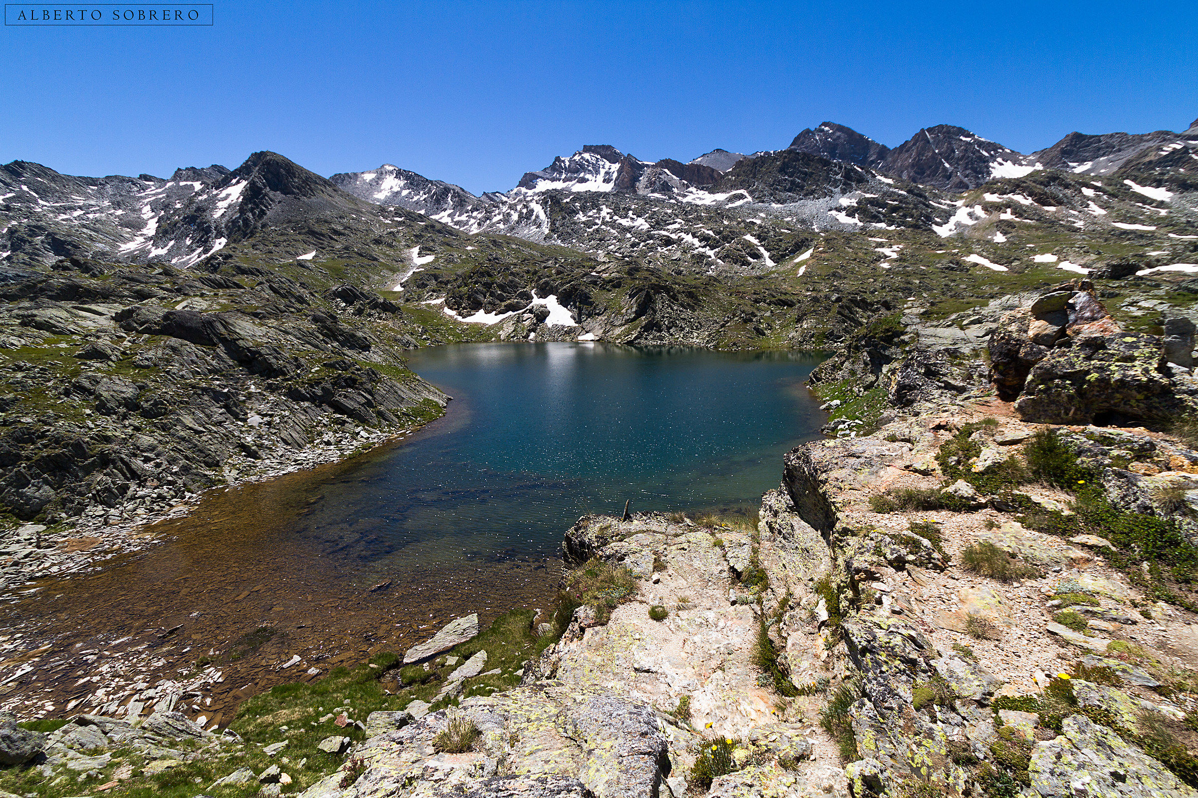 A small blue jewel ....