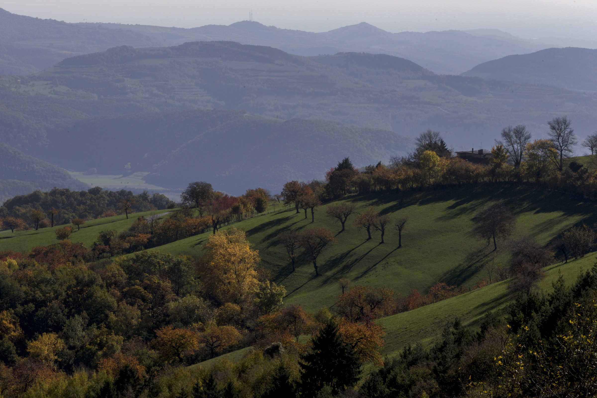 Lessinia_S.Mauro di Saline