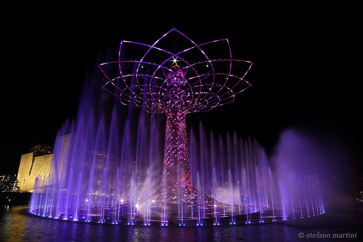 The tree of life in all its splendor