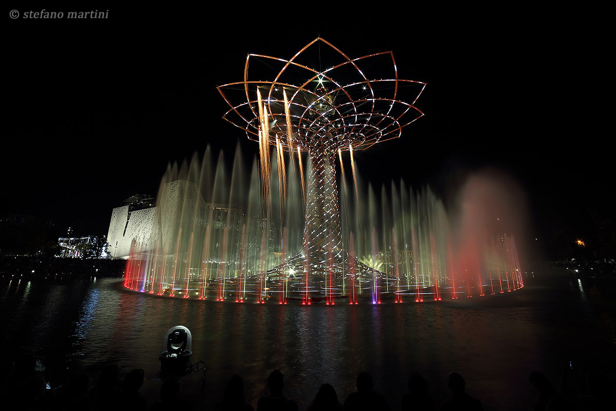 The tree, the water, the light and the fires