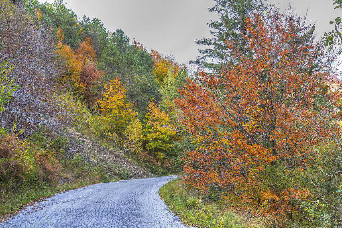 The Colors of 'Autumn