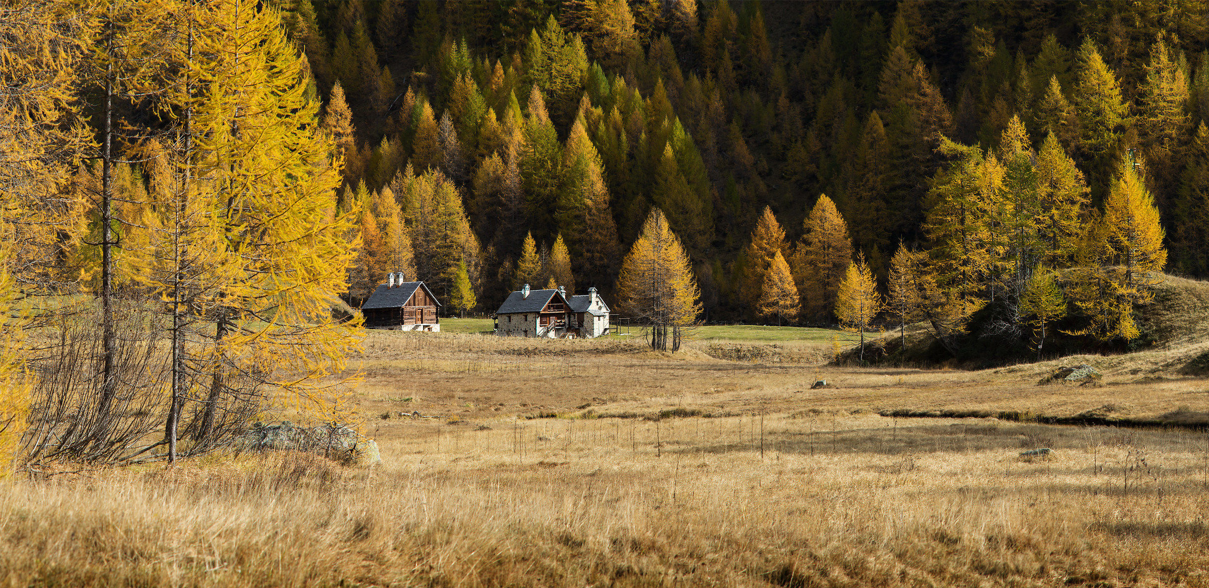 Torbiera di Crampiolo