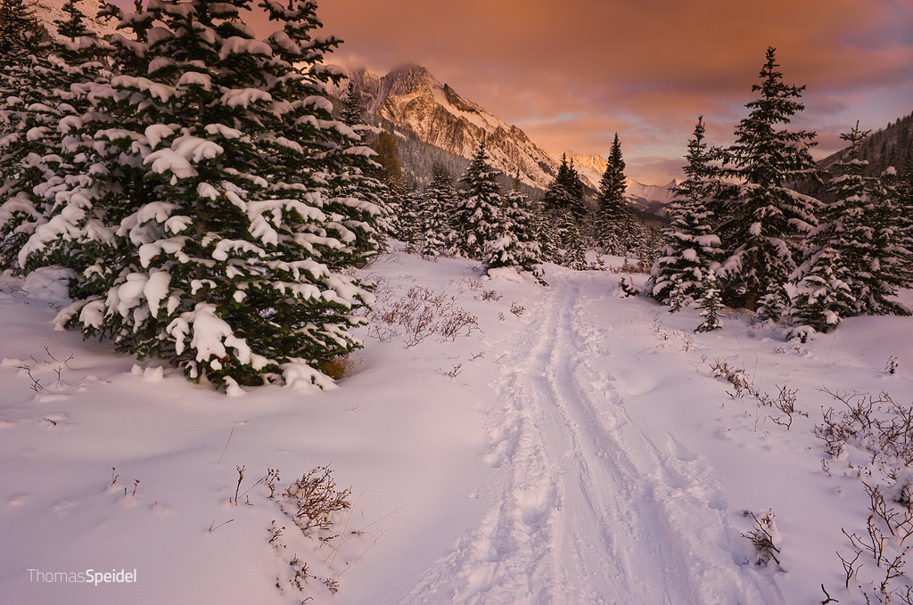 Highwood Pass alle prime nevi