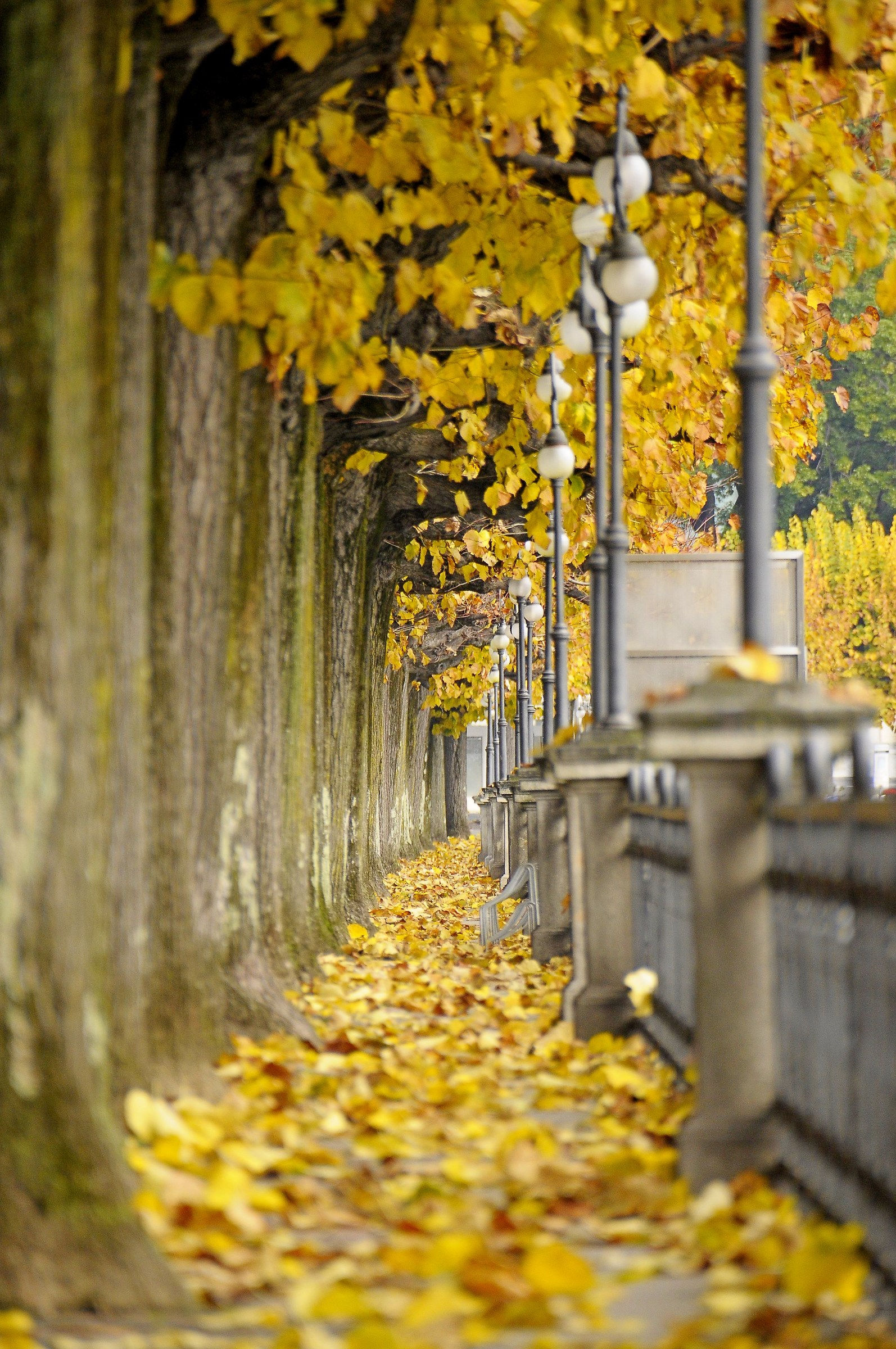 Autumn in Lugano