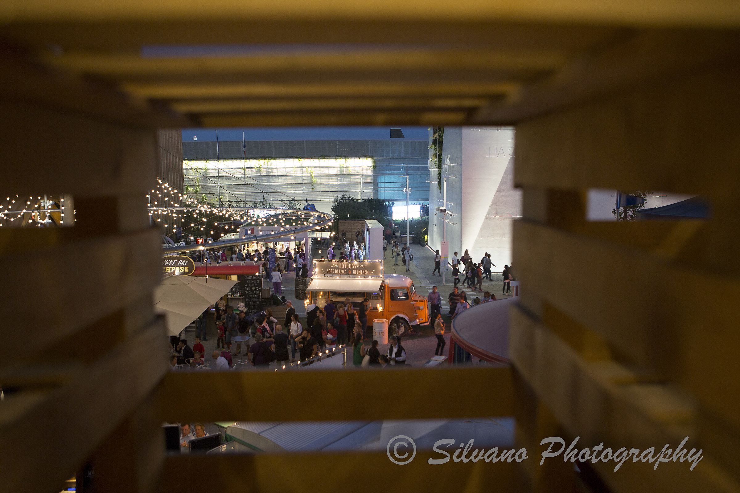 Everyone in the party