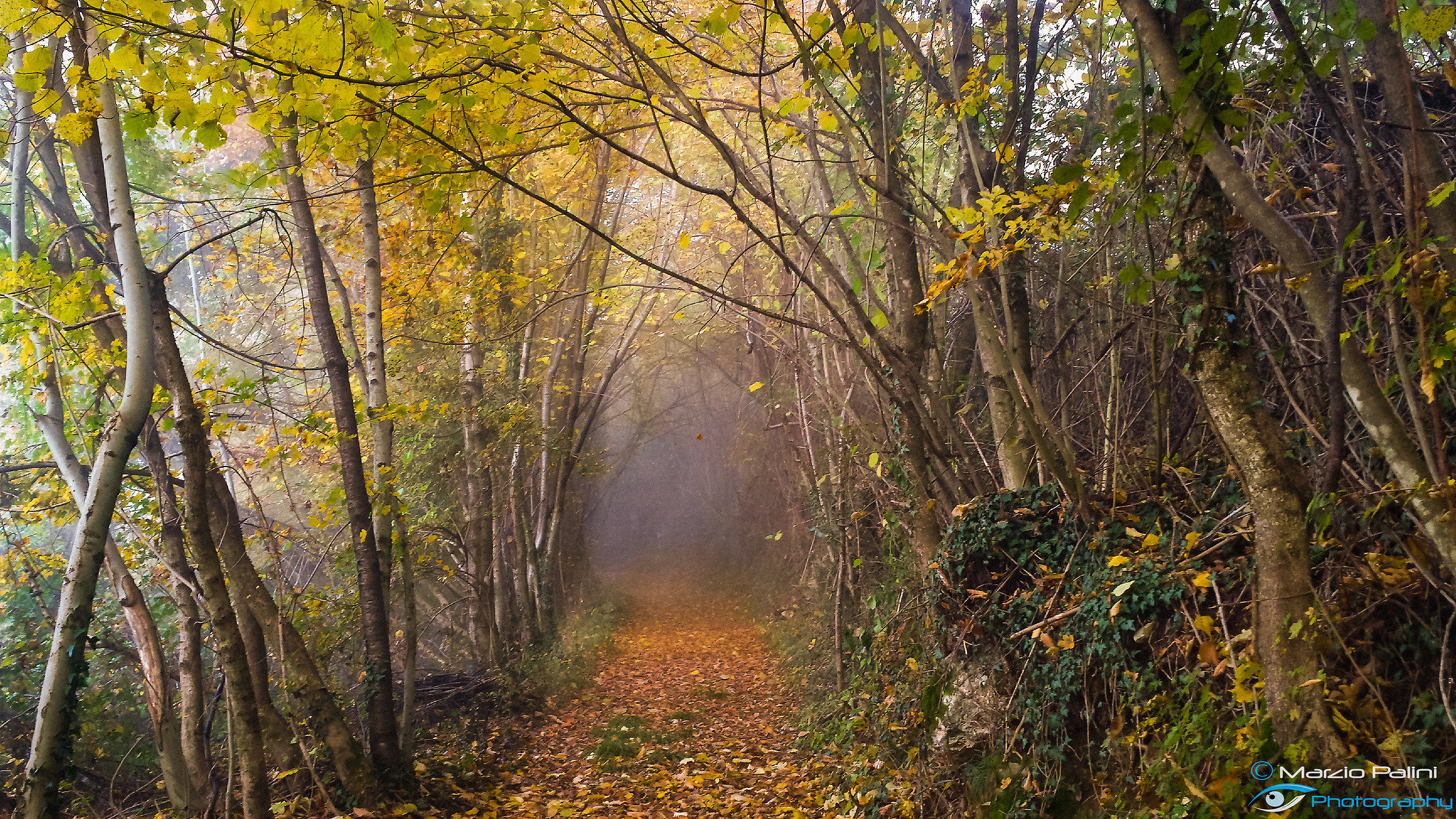 L'autunno e i suoi colori