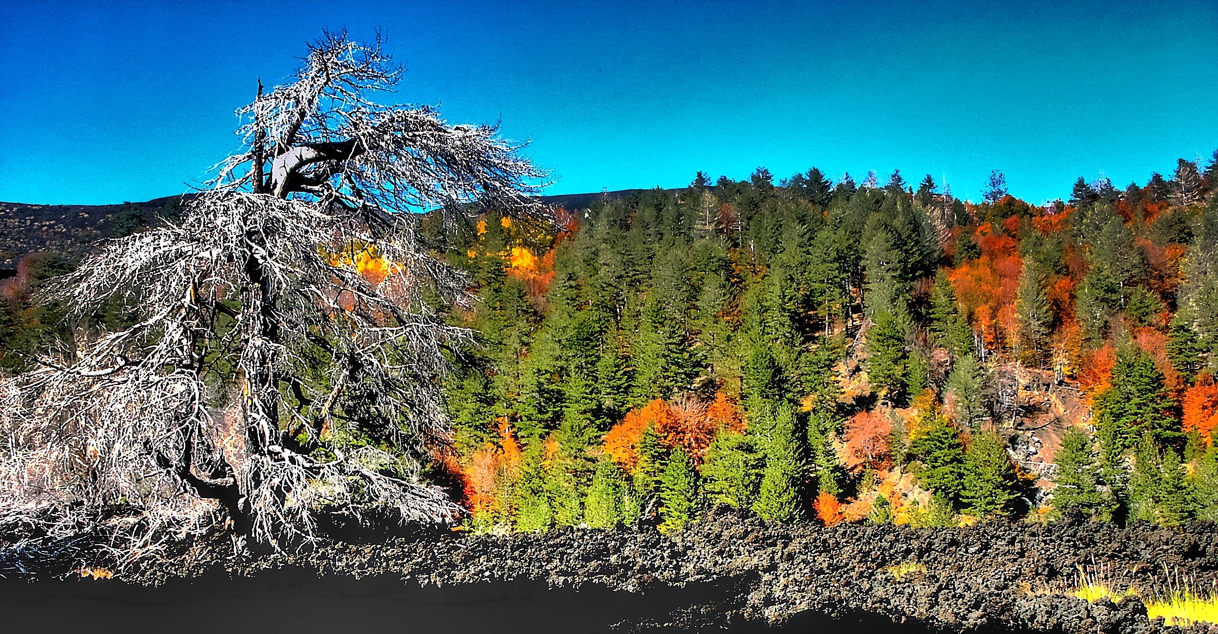 Etna - after the eruption