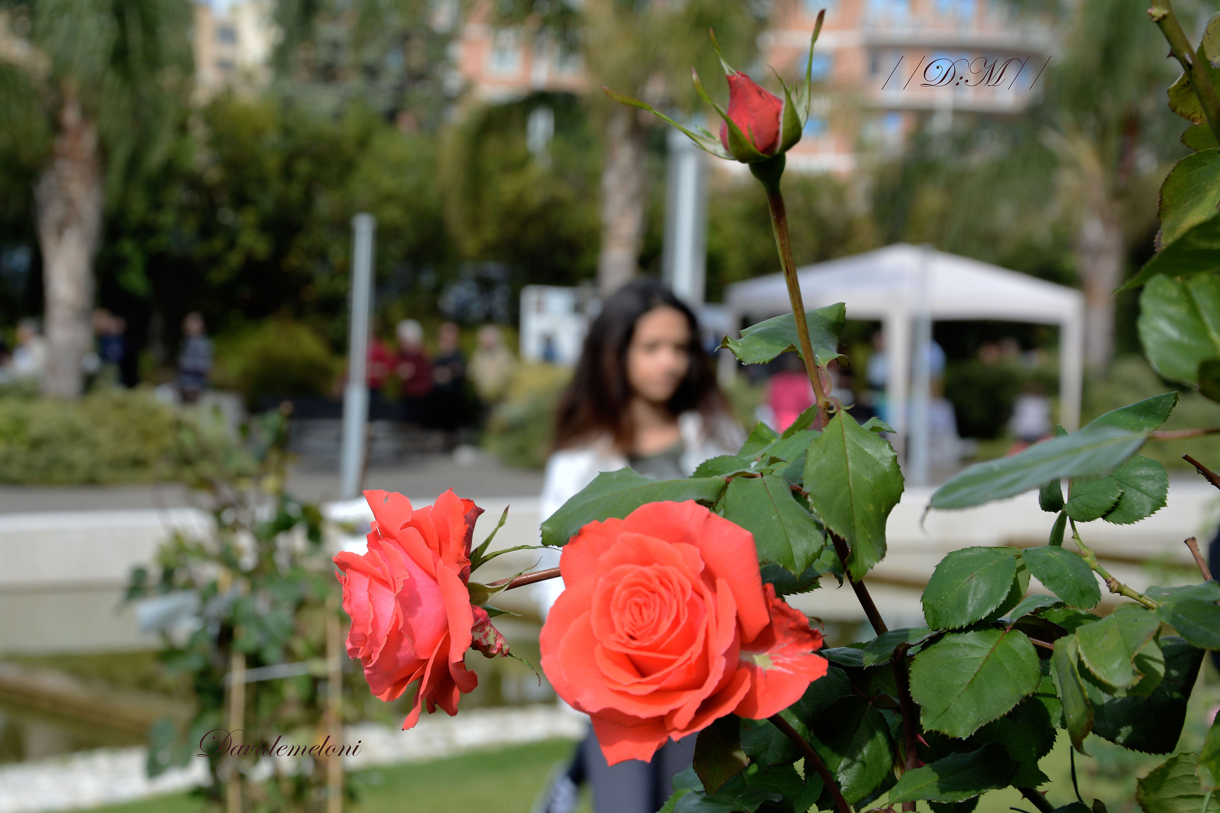 bella tra le belle 3