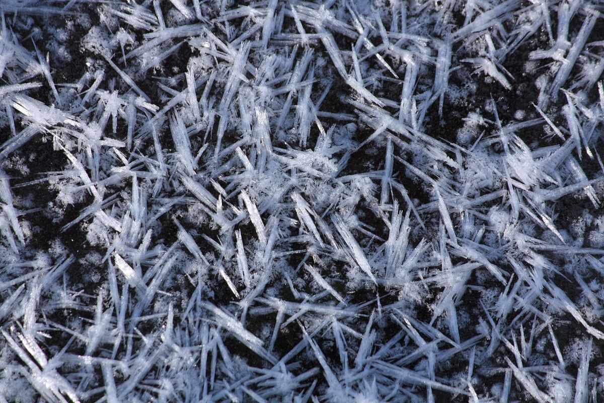 Glaciazione in corso