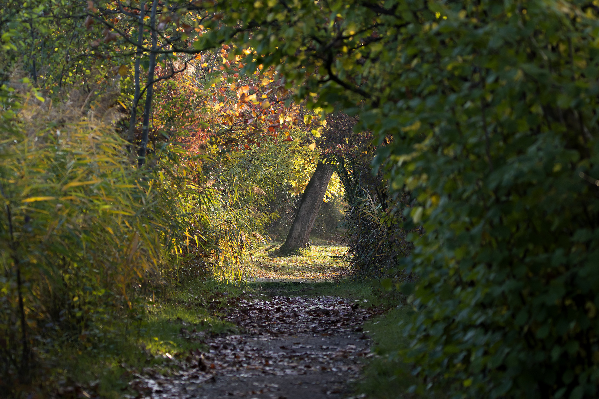 Luce in fondo al tunnel