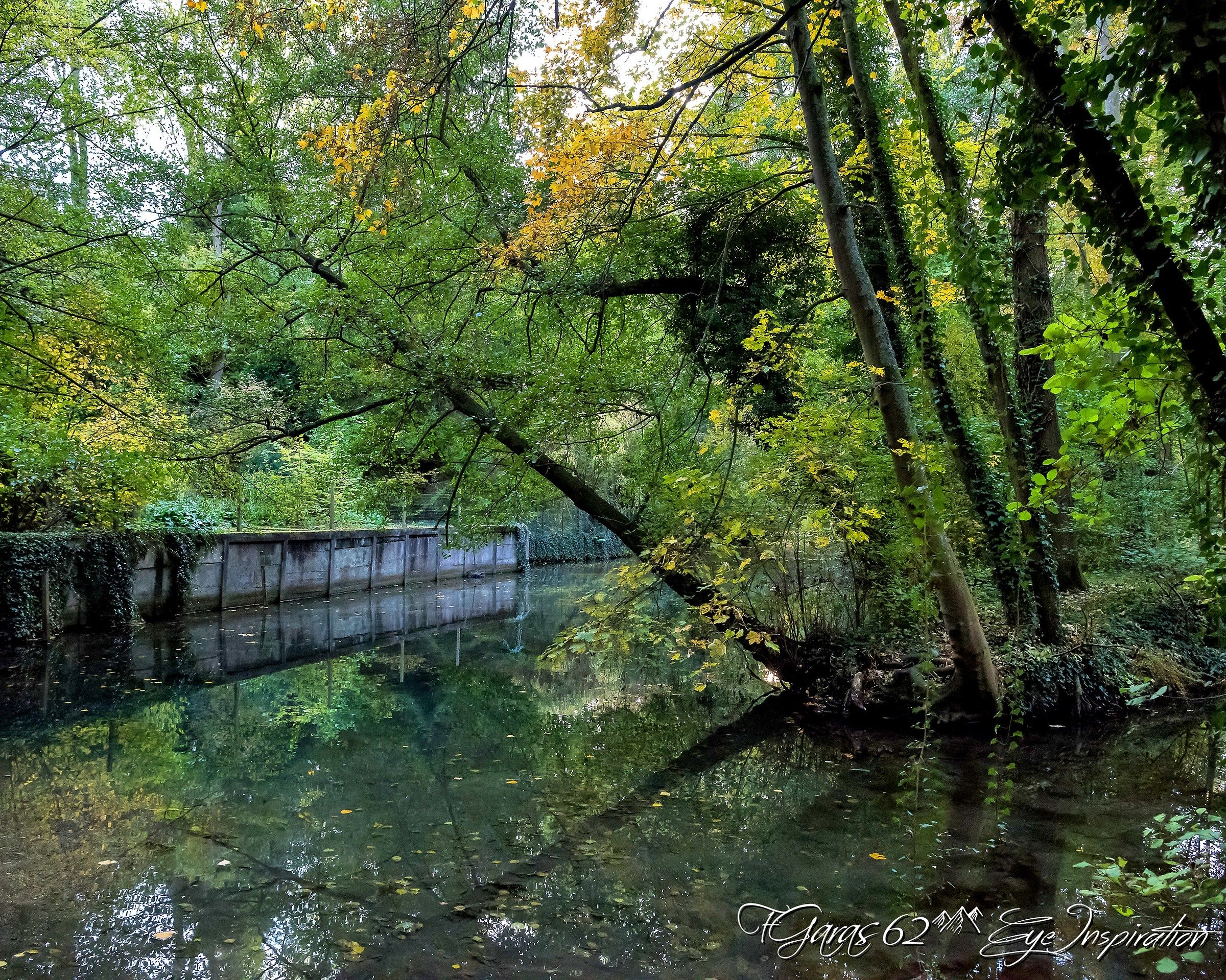 nikon af-s 24-70mmf/2.8e ed vr - arras