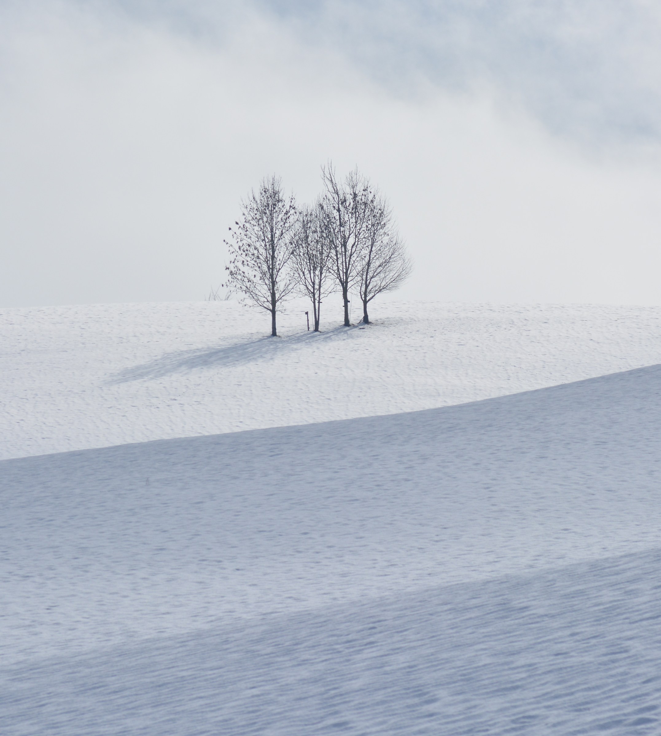first snow on the 'plateau
