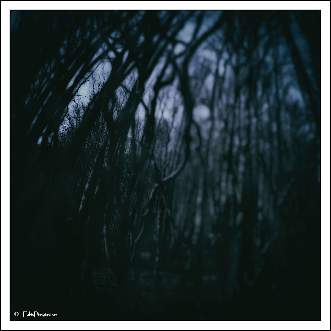 All Hallows' Eve ...