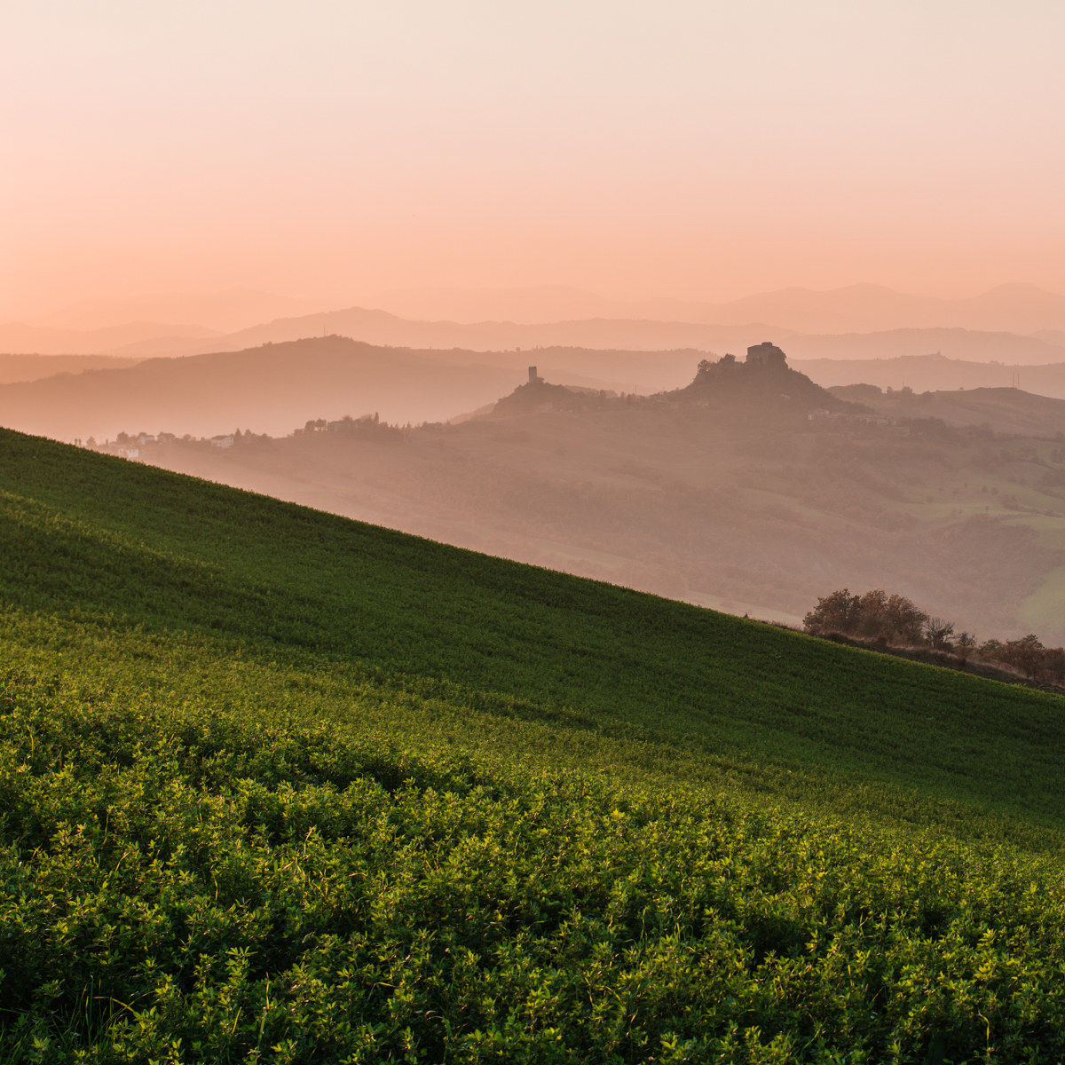 Castello di Rossena al tramonto