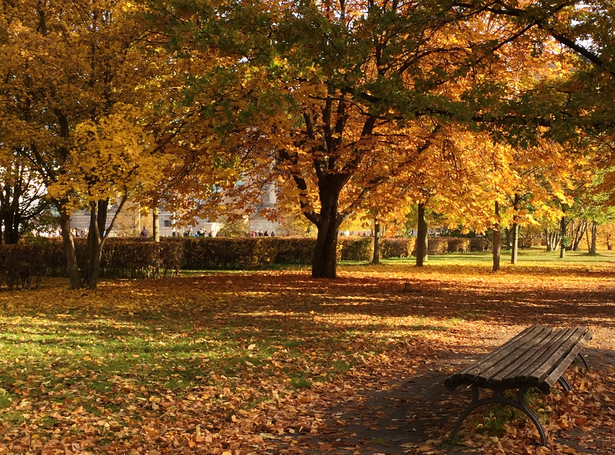The colors of Germany.