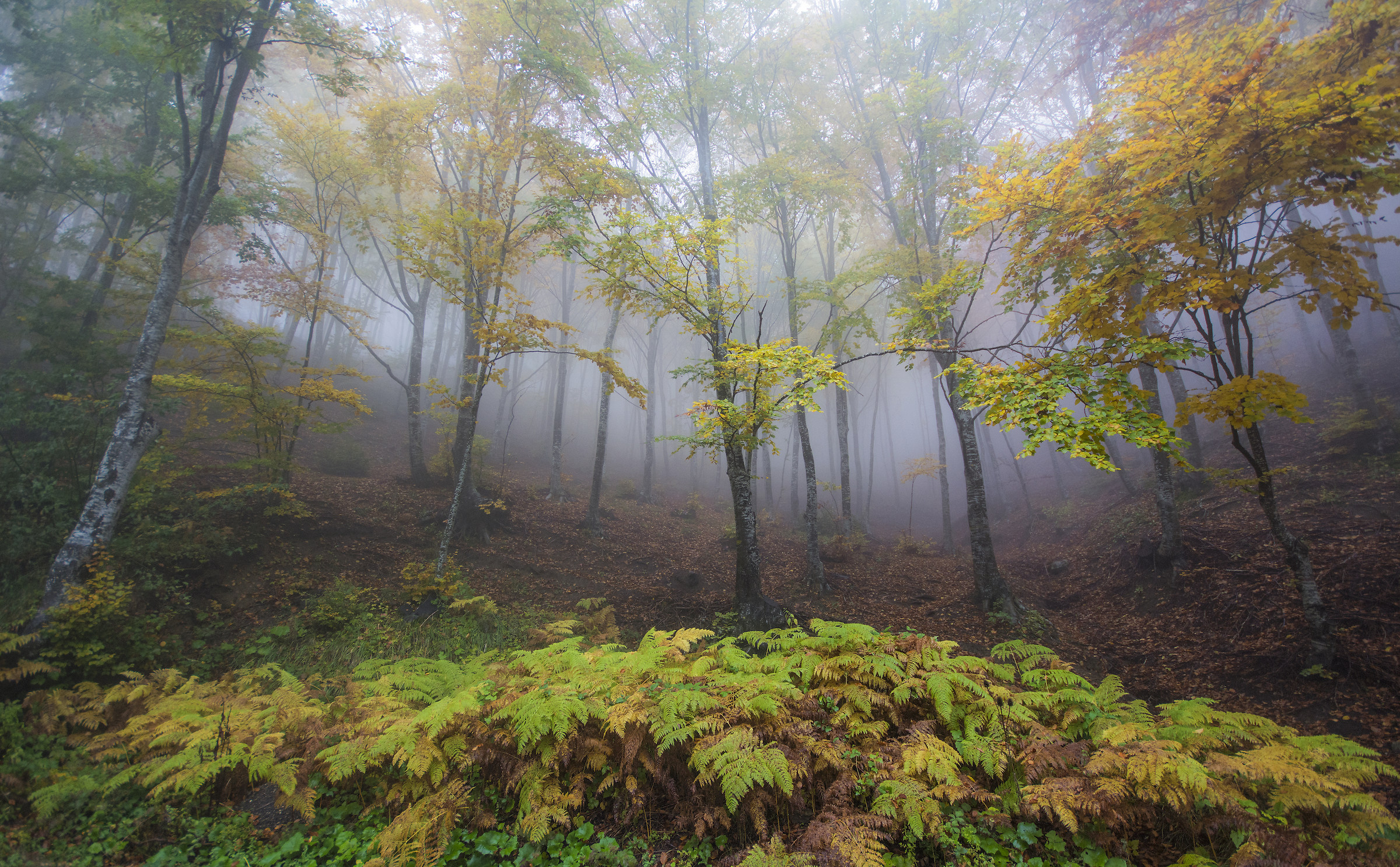 Autumn - Gran Sasso National Park and Laga Mountains
