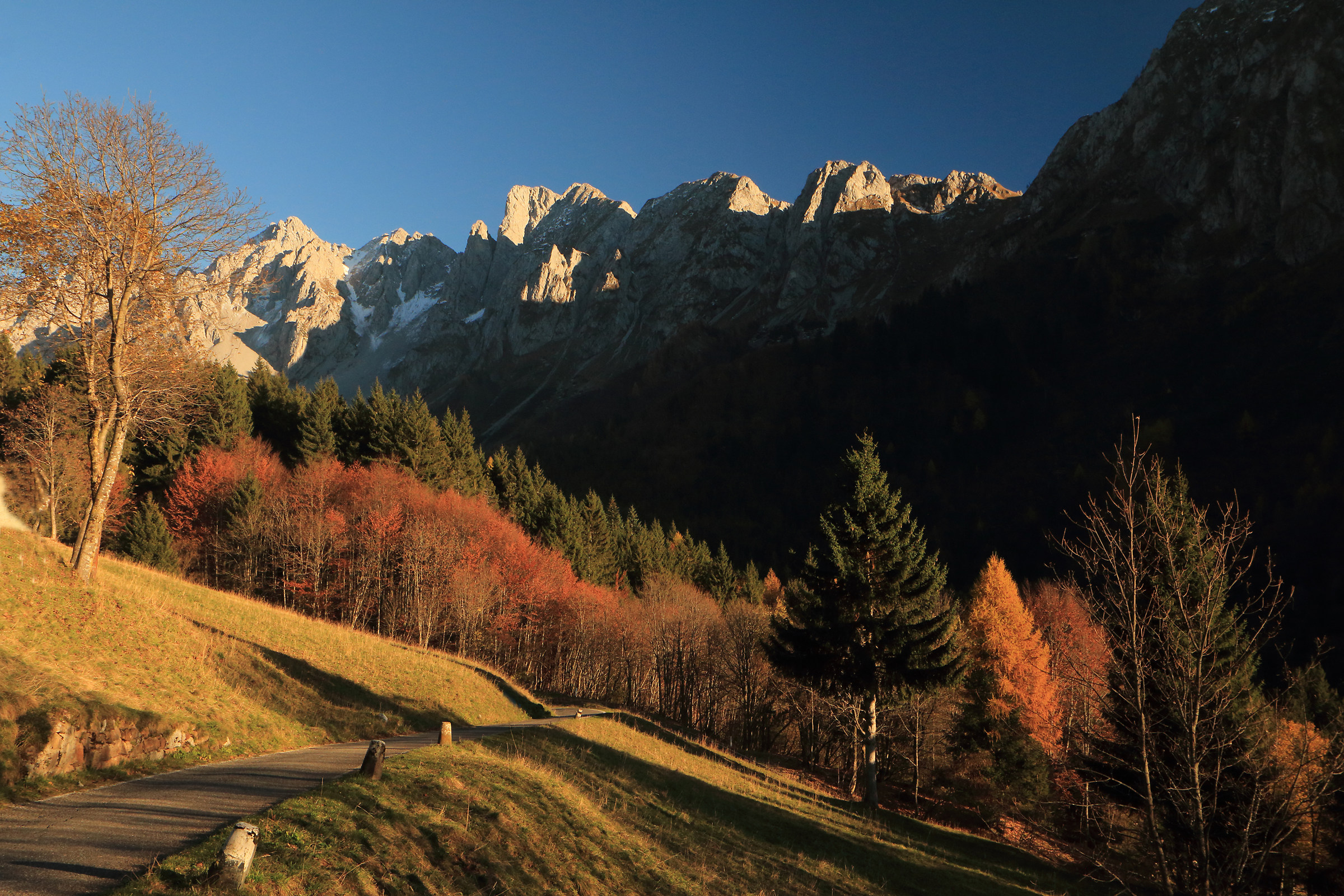 scendendo dai Campelli