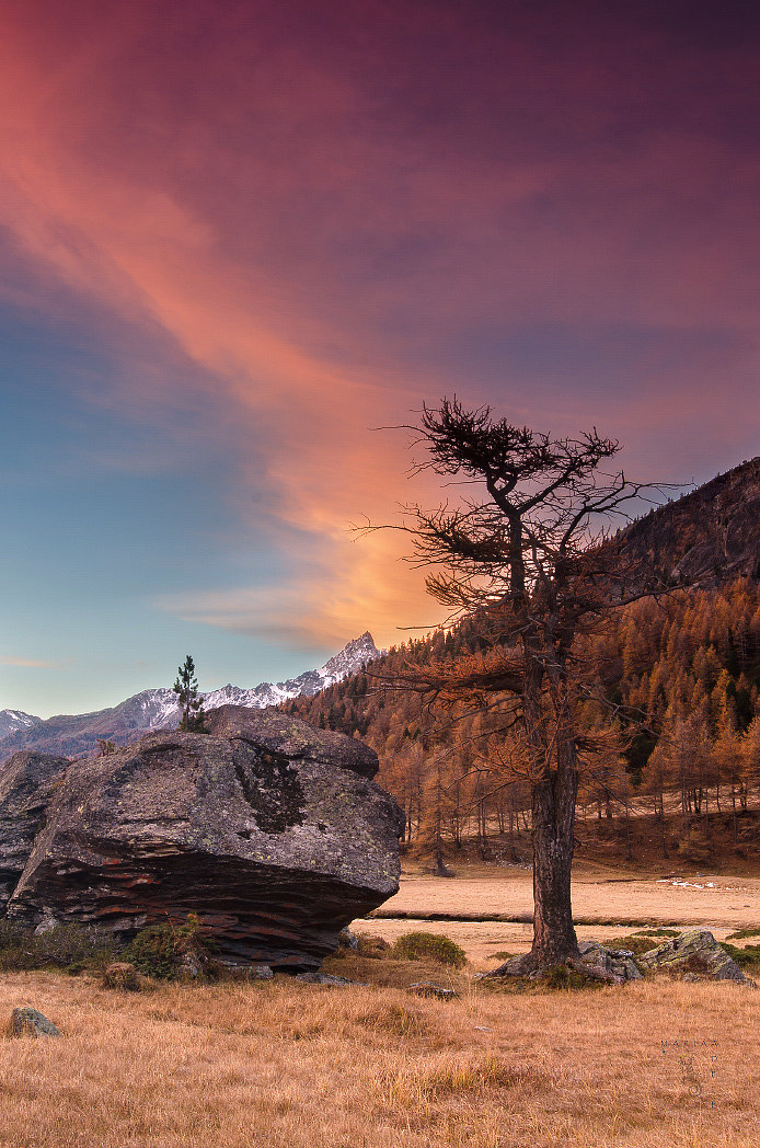 Fire in the sky like in my heart ...this morning -